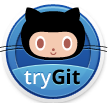 try git logo